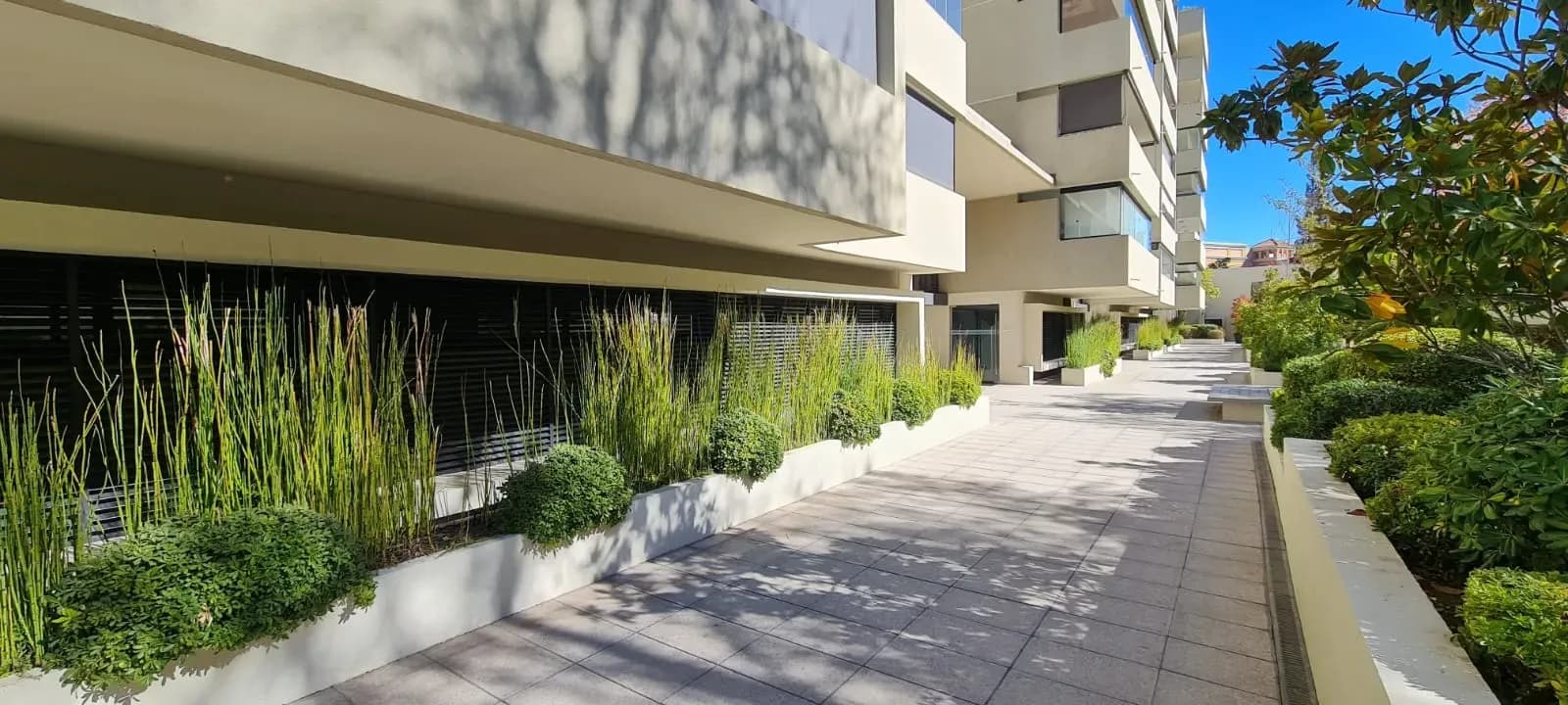 Hermoso Departamento con Jardin