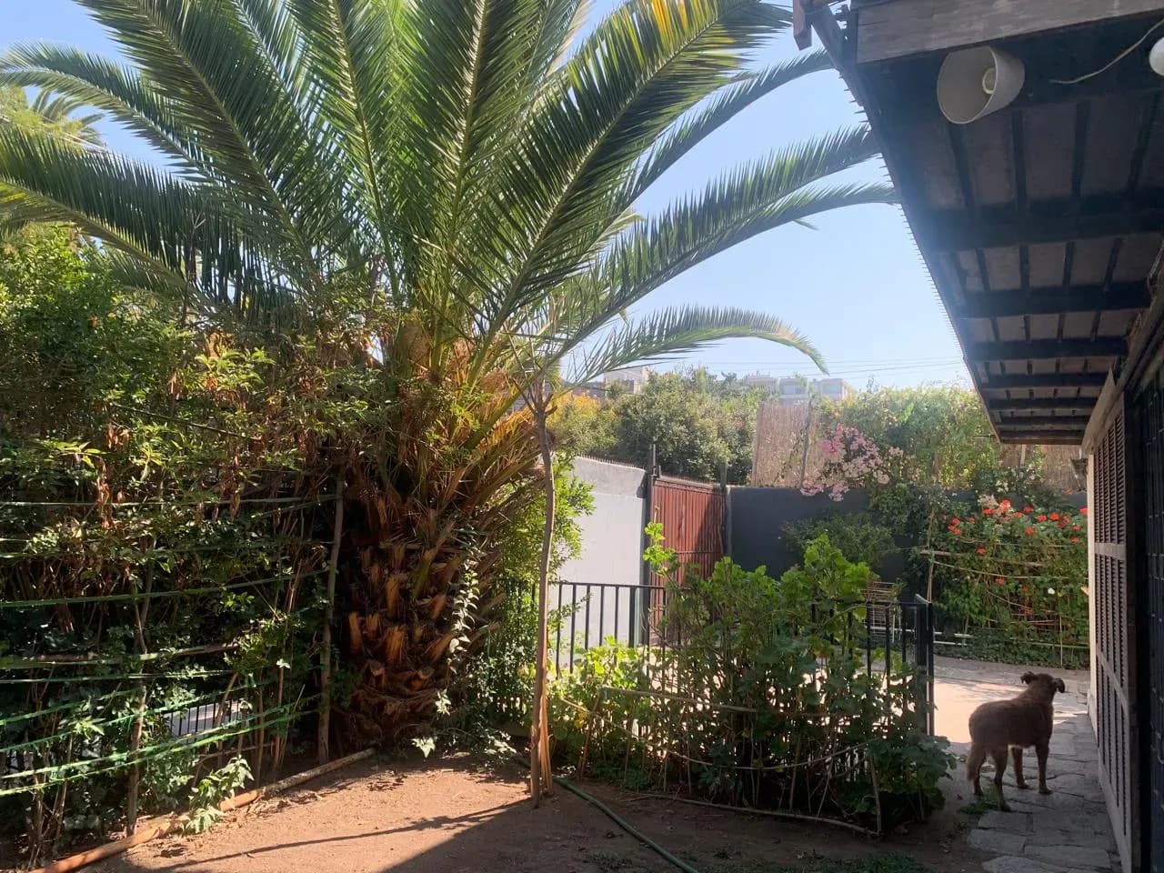 Casa Para Remodelar, Excelente Oportunidad