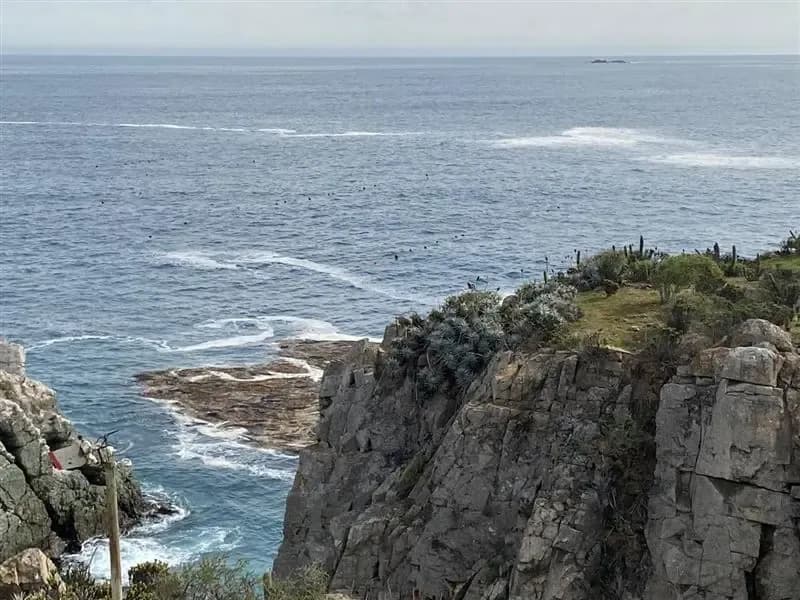 Parcela en Venta en los Vilos